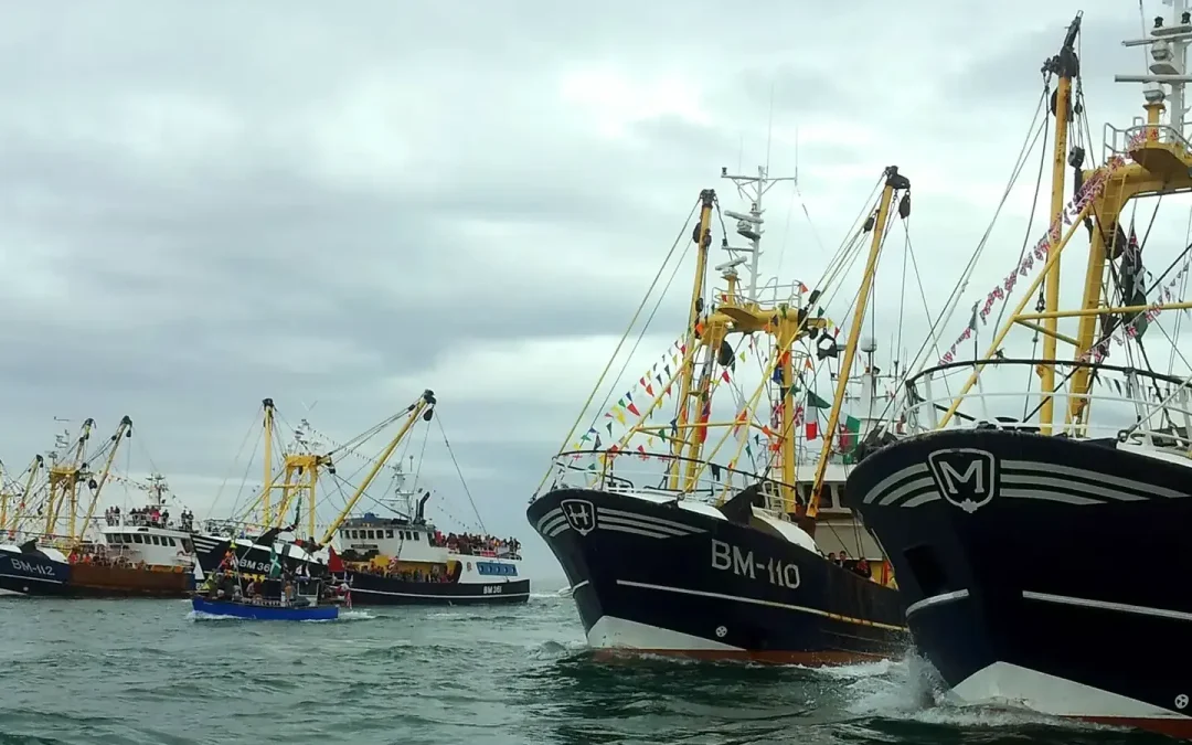Brixham Trawler Race